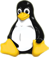 Linux File Recovery Software